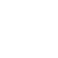 X Academy