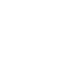 X Consulting