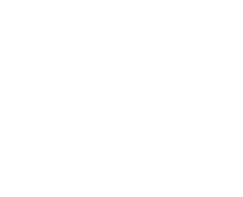 X Intelligence